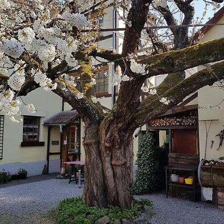 Ferienwohnung Zum-Alten-Kirschbaum Limburg an der Lahn Bagian luar foto