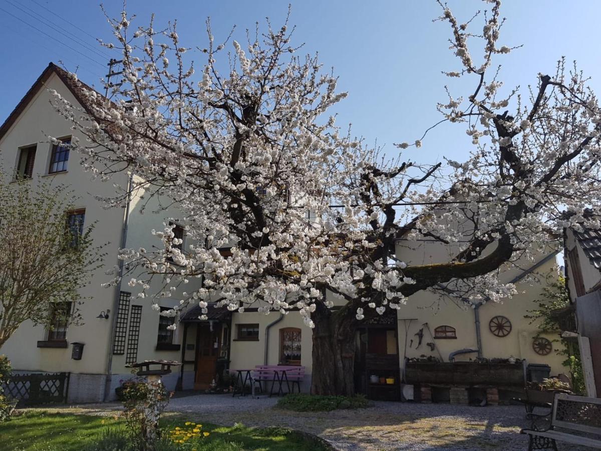 Ferienwohnung Zum-Alten-Kirschbaum Limburg an der Lahn Bagian luar foto