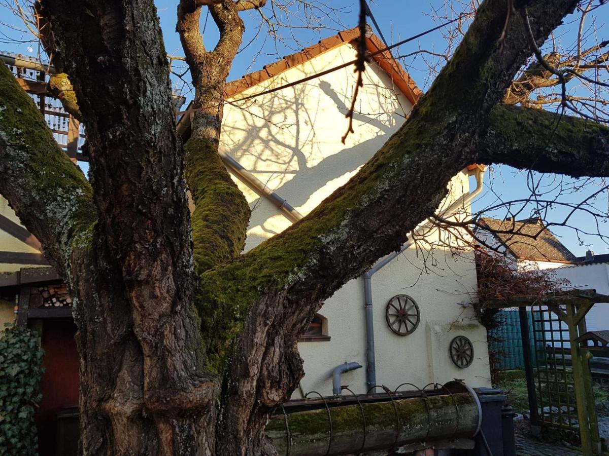 Ferienwohnung Zum-Alten-Kirschbaum Limburg an der Lahn Bagian luar foto