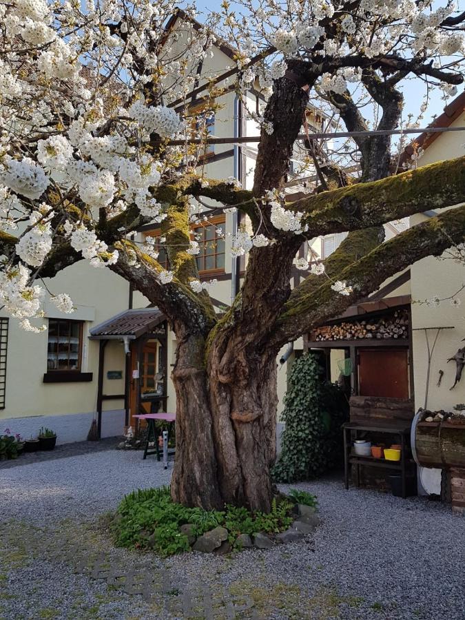 Ferienwohnung Zum-Alten-Kirschbaum Limburg an der Lahn Bagian luar foto